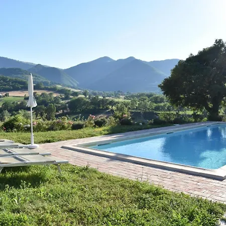 Il Posto Delle Viole *