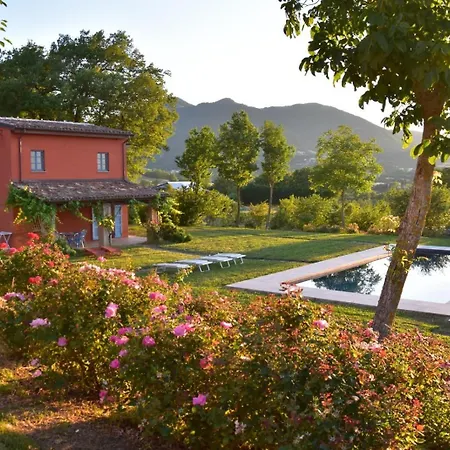 Il Posto Delle Viole