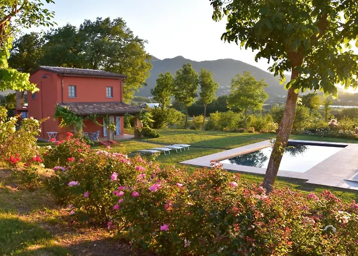 Il Posto Delle Viole