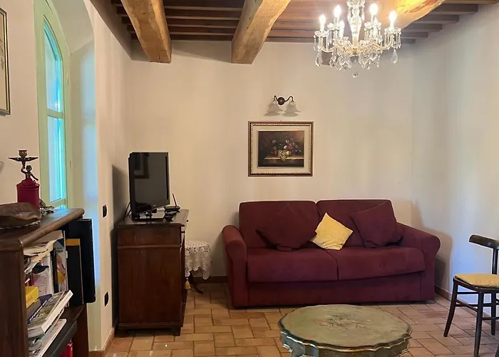 Il Posto Delle Viole